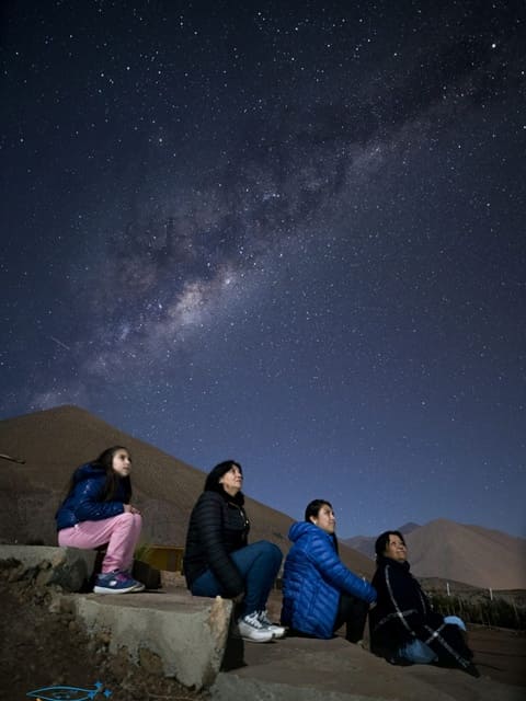 omega vertical (16)